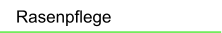 Rasenpflege