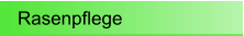 Rasenpflege