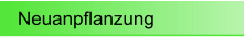 Neuanpflanzung