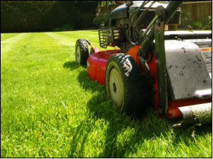 Gartenpflege Brauner Rasen mhen