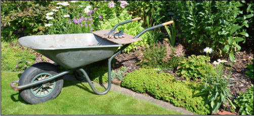 Gartenpflege Brauner Unkrautbeseitigung