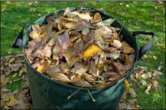 Gartenpflege Brauner Laubbeseitigung