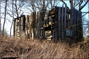 Gartenpflege Brauner Grundstcksberumung