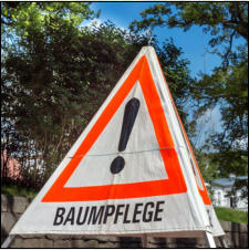Gartenpflege Brauner Baumpflege